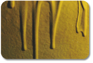 ODHGIES.2
